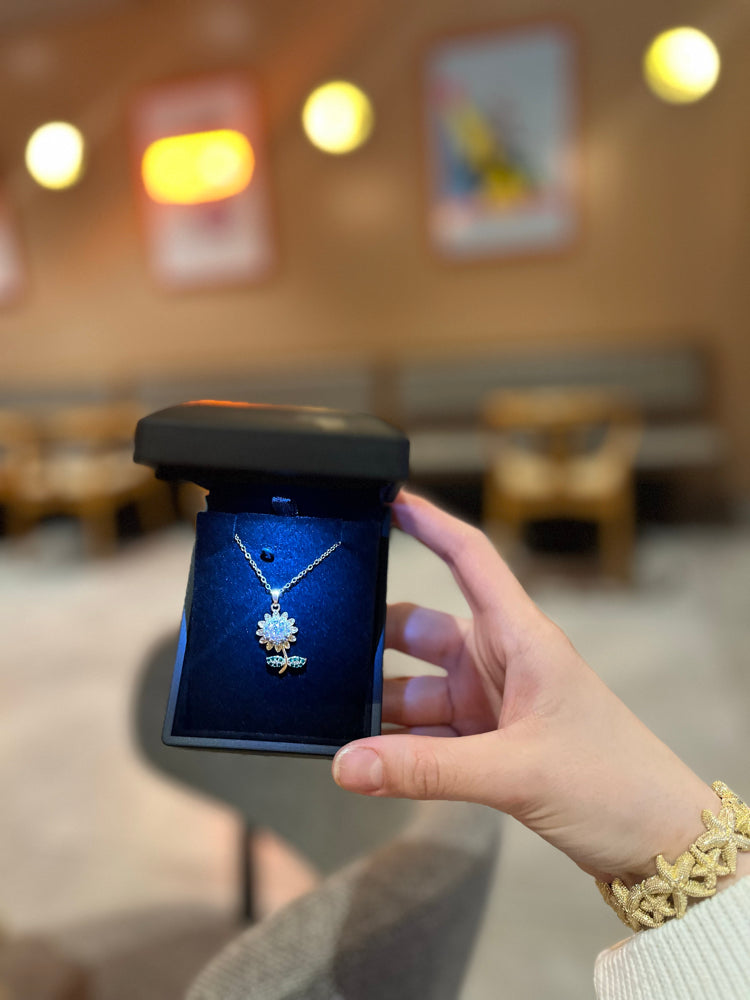 Işıklı kutuda altın kaplama papatya kolye